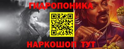 амф Кандалакша