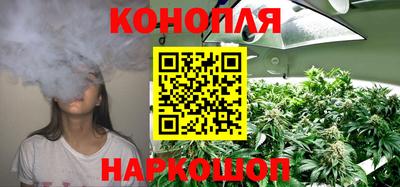 spice Камышлов