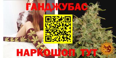 амф Кандалакша