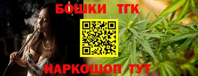 spice Камышлов