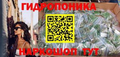 амф Кандалакша