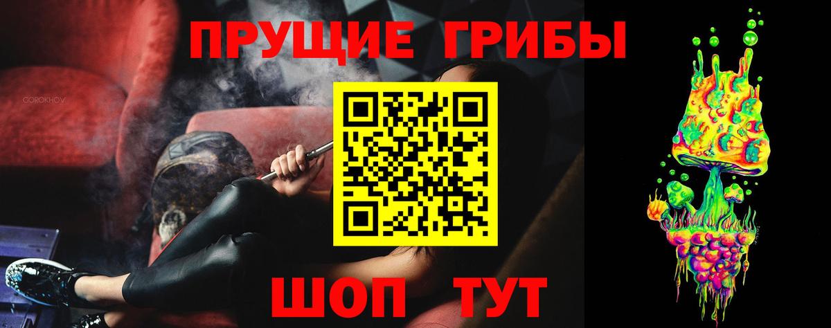 Псилоцибиновые грибы мицелий  Псилоцибиновые грибы MAGIC MUSHROOMS  Курчалой  Вход с VPN 