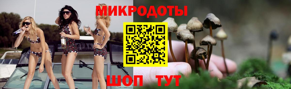 Псилоцибиновые грибы мицелий Курчалой